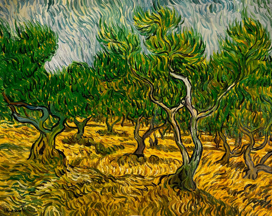 Olijfboomgaard (naar Vincent van Gogh) – Handgeschilderd post-impressionistisch olieverfschilderij op doek (70 × 100 cm)