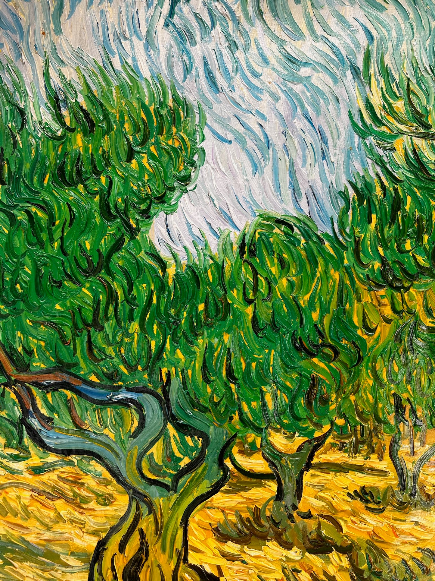 Olijfboomgaard (naar Vincent van Gogh) – Handgeschilderd post-impressionistisch olieverfschilderij op doek (70 × 100 cm)