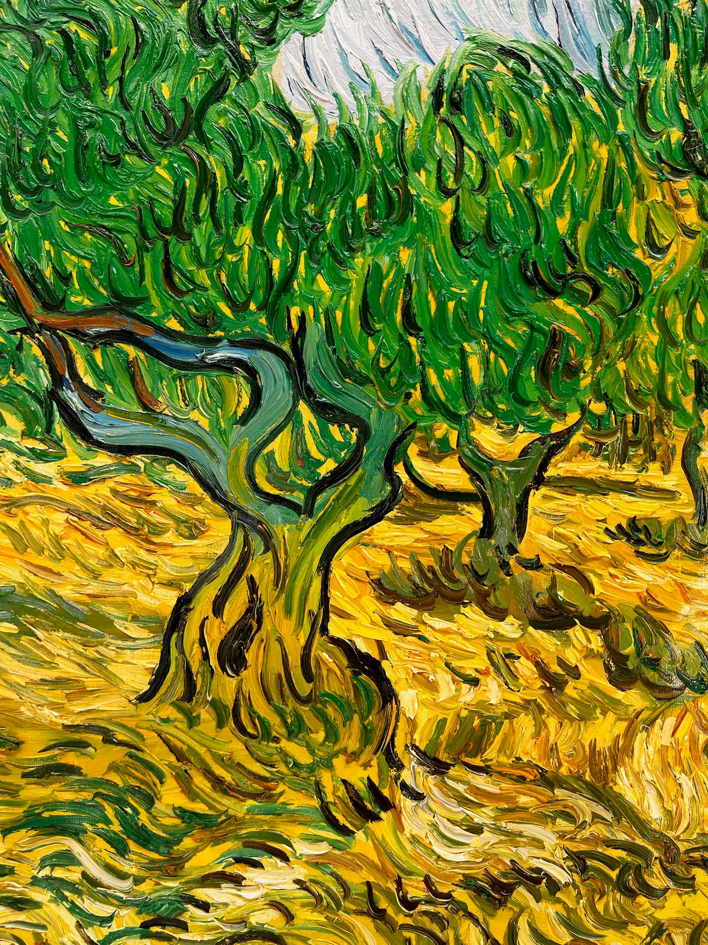 Olijfboomgaard (naar Vincent van Gogh) – Handgeschilderd post-impressionistisch olieverfschilderij op doek (70 × 100 cm)