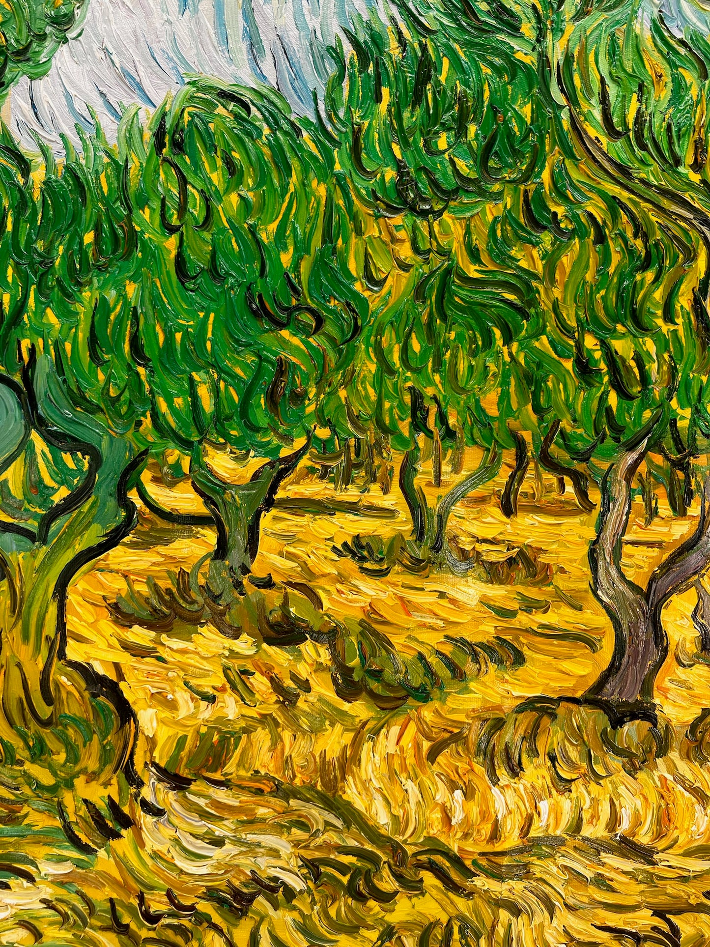 Olijfboomgaard (naar Vincent van Gogh) – Handgeschilderd post-impressionistisch olieverfschilderij op doek (70 × 100 cm)